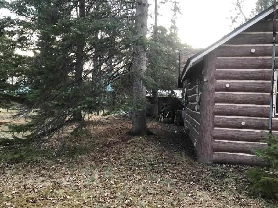 O Me, O Mio Cabin Near The Ausable River エクステリア 写真